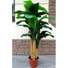 Искусственное растение ForGarden Дерево Banana Tree 210cm / FGN BF01710