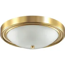 Припотолочная люстра Lumion Nina 5259/3C