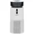 Климатический комплекс Garlyn AirClean V52