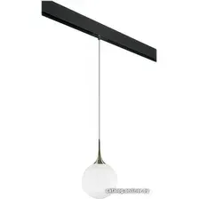 Подвесная люстра Lightstar Globo PRO813031