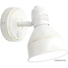 Спот Citilux Опус CL502513
