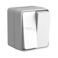 Выключатель двухклавишный наружный SYSTEME (SCHNEIDER) ELECTRIC AtlasDesign Profi54 серый (ATN543051)