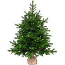 Ель искусственная National Tree Company Грация Премиум 3D / ГР/ПР-90 (90см)