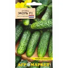 Огурец Эколь F1 7 шт (семена)
