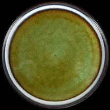 Тарелка обеденная Corone Verde HL482490 фк0730