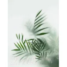 Фотообои листовые Citydecor Цветы и Растения 155 (200x260см)