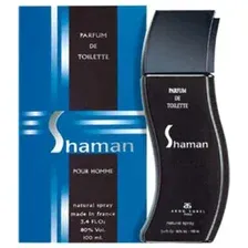 Туалетная вода Arno Sorel Shaman Spirit Man EdT (100 мл)