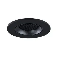 Точечный светильник Arte Lamp Fuji A2865PL-1BK