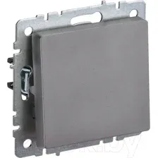 Выключатель IEK Brite BR-V13-0-10-K46 (сталь)