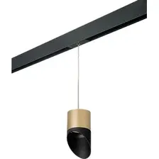 Трековый светильник Lightstar Rullo PRORP349087