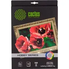 Холст CACTUS Хлопковый холст A4 300 г/кв.м. 10 листов (CS-СA426010)