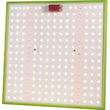 Лампа для растений ЭРА FITO-80W-LED-QB
