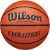 Баскетбольный мяч Wilson Evolution WTB0516E7 (7 размер)