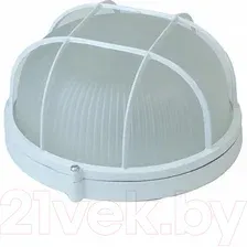Светильник ЖКХ ЭРА Акватермо НБП 03-60-002 / Б0048421