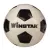 Мяч футбольный Winstar WN11008