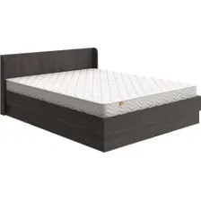 Кровать PROxSON Practica с ПМ 120x200 (дуб кантербери)