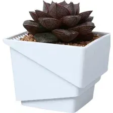 Кашпо BOTANICA Air для кактусов и суккулентов (7.35x6.5см, белый)