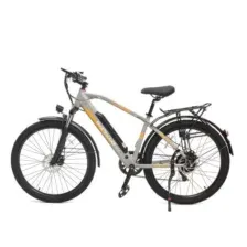 SmartBalance City серый