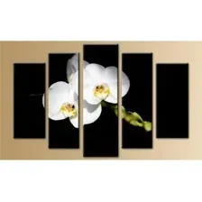Модульная картина Arthata 5m-046 130x80