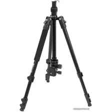 Трипод Raylab Pro 65 (с головой)