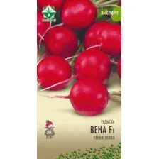 Семена МинскСортСемОвощ Редис. Вена Эксперт F1 (1г)