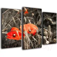Модульная картина Arthata m-000289 75x50
