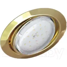 Точечный светильник INhome GX53R-RT-G / 4690612024387 (золото)