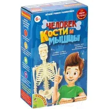 Набор для опытов Bondibon Японские опыты. Человек. Кости и мышцы ВВ4728