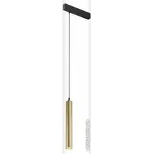 Трековый светильник Denkirs Smart DK8008-BG