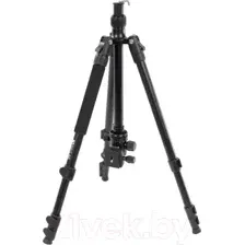 Штатив RayLab Pro 65 (с головой)