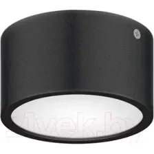 Светильник уличный Lightstar Zolla 380174