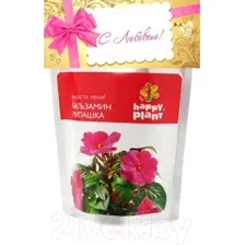 Набор для выращивания растений Happy Plant Бальзамин милашка / hpn-31