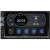 USB-магнитола Prology MPV-310