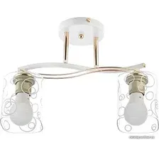 Подвесная люстра Aitin Pro НПБ 02-2х60-101 MH33006B/2 (белый/золото)