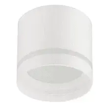 Точечный светильник ЭРА OL9 GX53 WH/WH / Б0048541