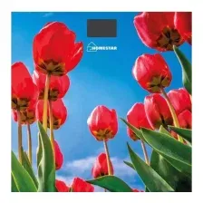 Напольные весы электронные HomeStar HS-6001I / 005187