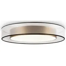 Припотолочная люстра Freya Zoticus FR6005CL-L48G