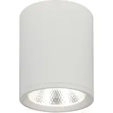 Потолочный светильник ESCADA 20003SMU/02LED SWH (белый матовый)