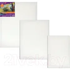 Холст для рисования BRAUBERG Art Debut 191649 (3 шт)