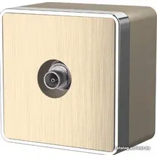 Розетка телевизионная Werkel Gallant WL15-21-01 (Шампань рифленая)