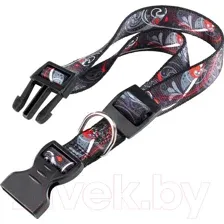 Ошейник Ferplast Arlecchino C25/70 / 75603999