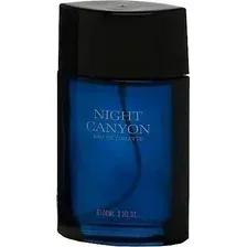 Туалетная вода Real Time Night Canyon Men EdT (100 мл)