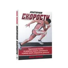 Анатомия скорости