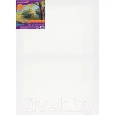 Холст для рисования BRAUBERG Art Debut 191646