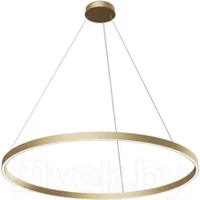 Подвесная люстра Maytoni Rim MOD058PL-L54BSK