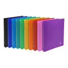 Папка для бумаг Exacompta Opaque 54699E (ассорти)