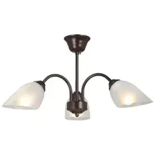  Vitaluce V3335-7/3PL