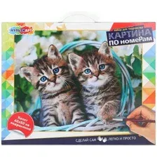 Картина по номерам MultiArt Котики CANV40X50-115356