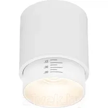Точечный светильник Elektrostandard Cors 10W /25032/LED (белый)