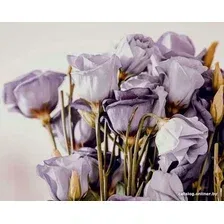 Картина Stamprint Розы АT014 (80x100)